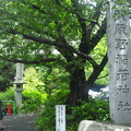 Photos: 12.05.16.武蔵野稲荷神社（練馬区栄町）