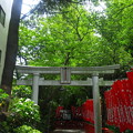 武蔵野稲荷神社（練馬区栄町）東鳥居
