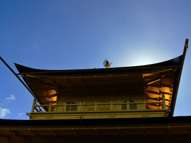 Photos: 金閣寺