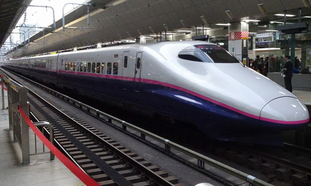 Photos: JR東日本上越新幹線E2系｢とき333号｣