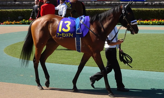 ｱｰﾓﾝﾄﾞｱｲ(2回東京10日 11R 第79回 優駿牝馬(ｵｰｸｽ)(GI)出走馬)