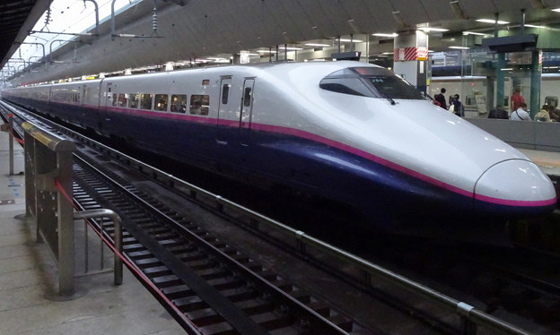 Photos: JR東日本上越新幹線E2系｢とき335号｣