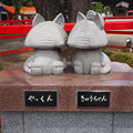 Photos: P5062628