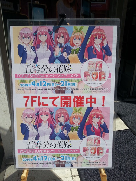 五等分の花嫁 Pop Up Shop Inアニメイト秋葉原 写真共有サイト フォト蔵