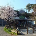 Photos: 鎌倉　極楽寺駅と丸ポストと桜２
