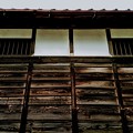 空蝉 何個かな
