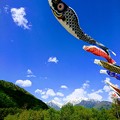 大空 游ぐ