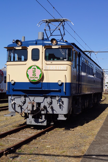 ＪＲ西日本　ＥＦ６５　さくら