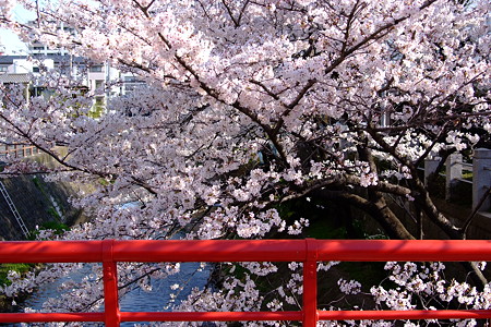 DSCF0560