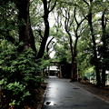 Photos: 雨の参道