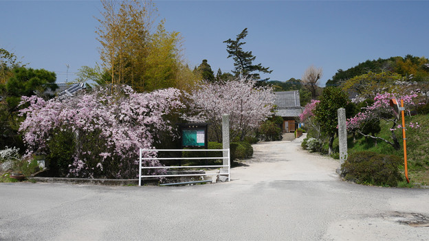 光蔵寺(1)