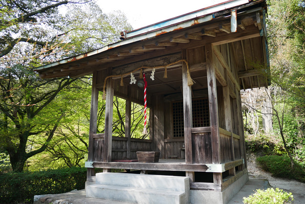 仁比山神社(13)