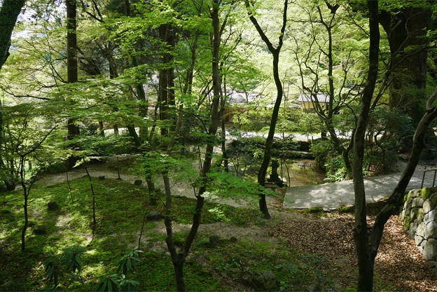 仁比山神社(12)