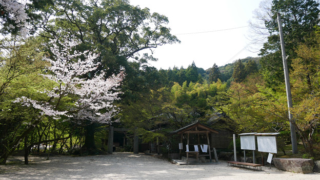 仁比山神社(11)