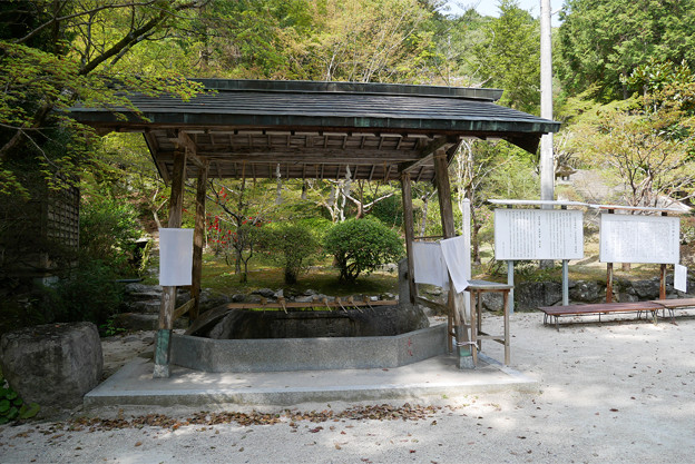 仁比山神社(9)