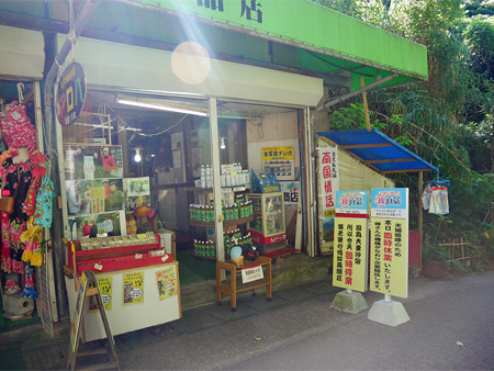 長崎鼻 (1)