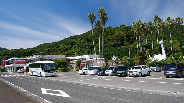 池田湖周辺散策 (6)