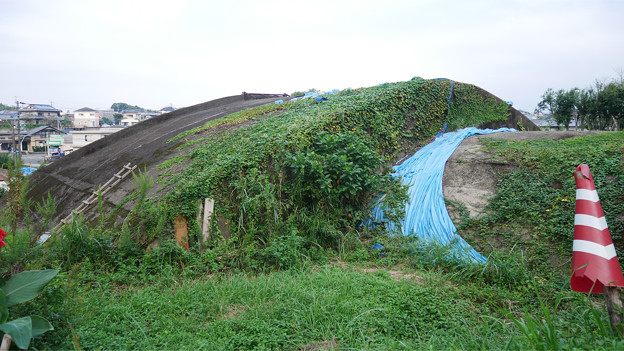 宮崎市本郷地区の掩体壕 3 (5)