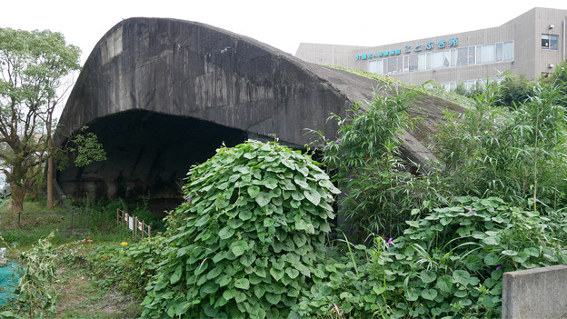 宮崎市本郷地区の掩体壕 3 (3)