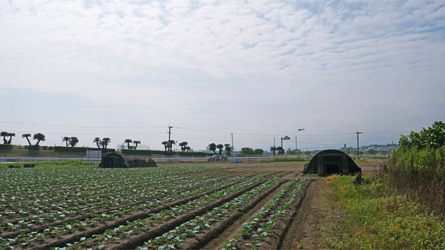 赤江飛行場の弾薬庫跡 (3)