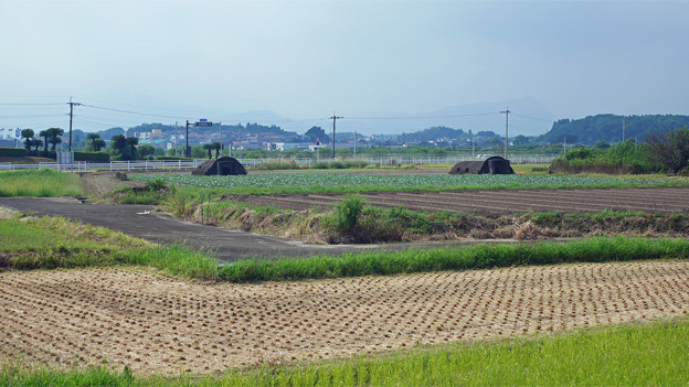 赤江飛行場の弾薬庫跡 (2)