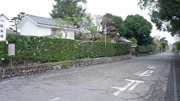 竹添邸前の通り (1)