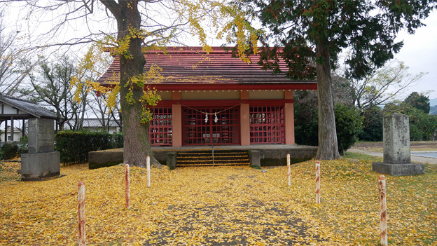 出水護国神社 (4)