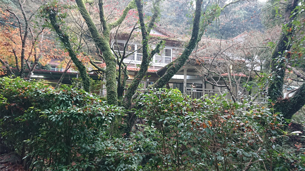 湯川内温泉 かじか荘 (6)