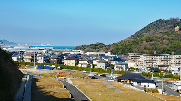 向山公園 (7)