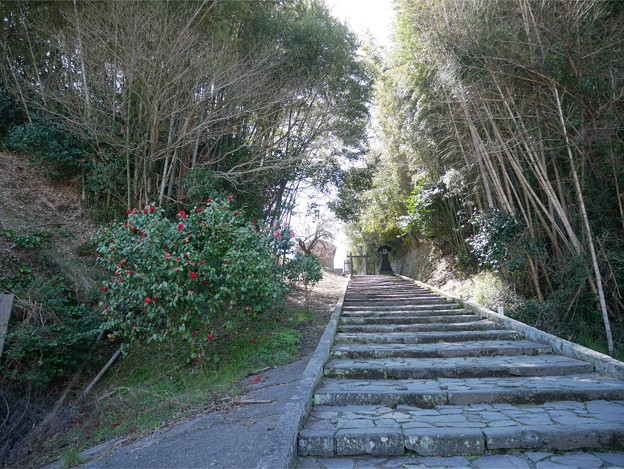 番所の坂 (4)