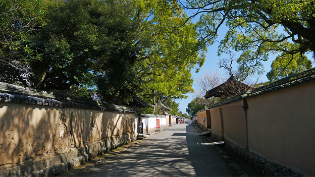 杵築 北台武家屋敷 (2)