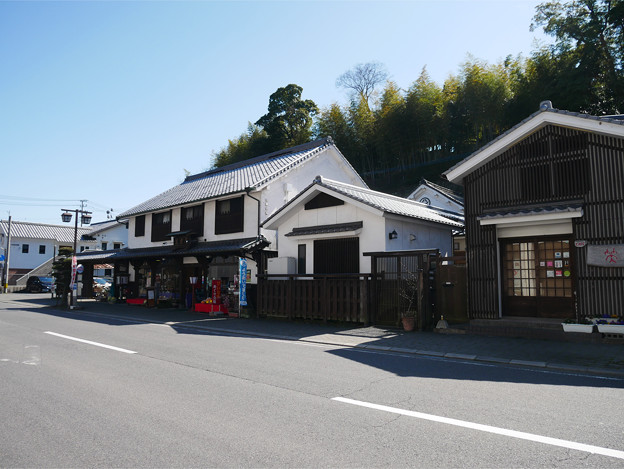 杵築城下町:商人の町 (6)
