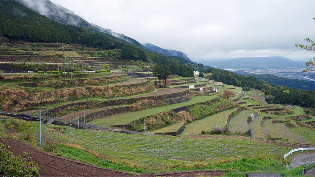 有田町国見棚田公園 (1)