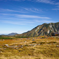 SDIM0821