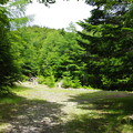 IMGP1831