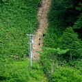 IMGP2721-1
