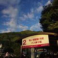IMGP2953