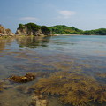IMGP5374
