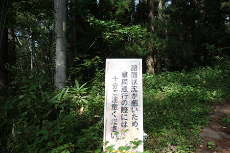 DSC06391