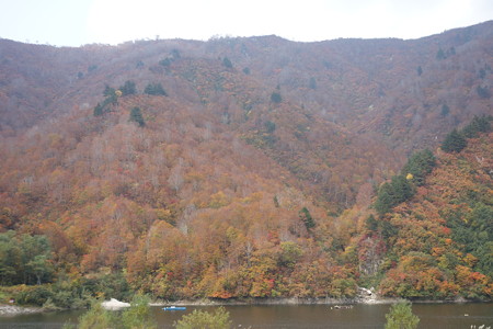 DSC06708