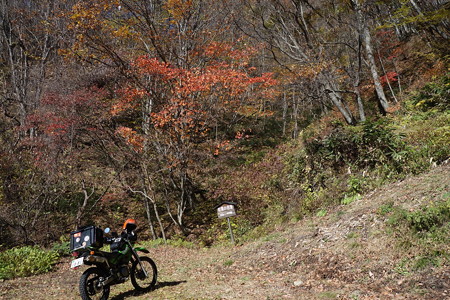 DSC06960