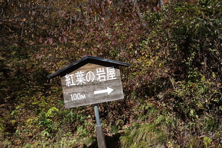 DSC06963