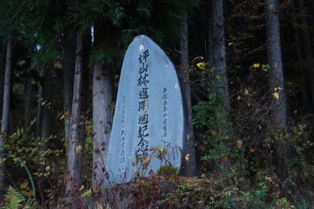 DSC07198