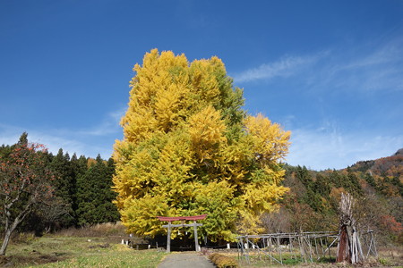 DSC07372