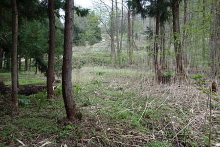 DSC00714