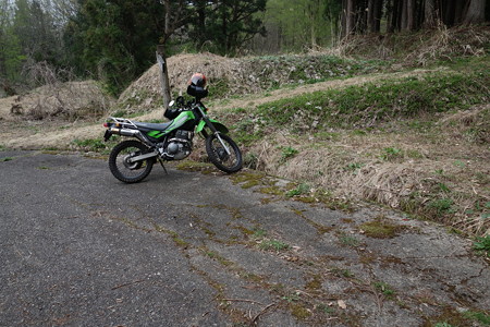 DSC00729