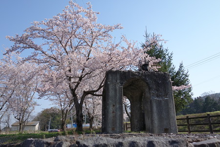DSC00750