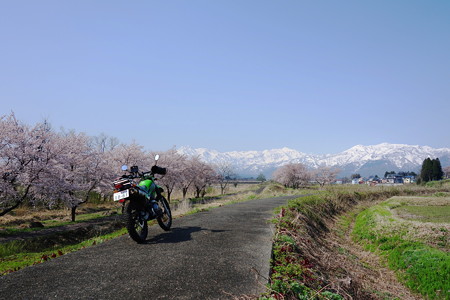 DSC00789