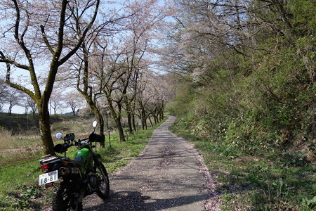 DSC00794