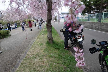DSC00900